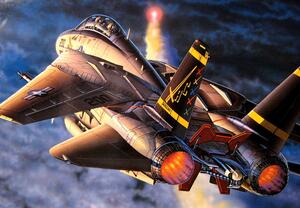 F-14 A TOMCAT  "BLACK TAIL" GULF WAR. VF-21, 32.  ENGRAVED PANEL LINES. RUBBER TYRES,   COMPLETE WEA