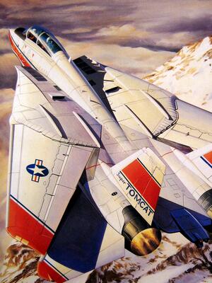 F-14 TOMCAT D "SUPER TOMCAT" US NAVY. ENGRAVED PANEL LINES. RUBBER TYRES, COMPLETE WEAPONS. 2 COM F-14 TOMCAT D "SUPER TOMCAT" US NAVY. ENGRAVED PANEL LINES. RUBBER TYRES, COMPLETE WEAPONS. 2 COM