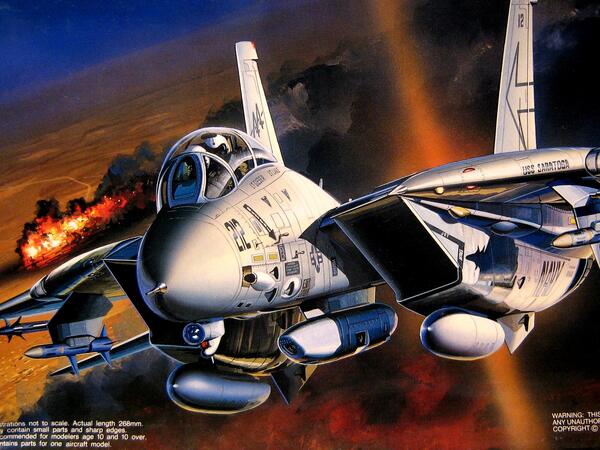 F-14 TOMCAT A PLUS "TARPS"  DESERT STORM. DOWNED BY IRAQI SA-2.  VF-103, 74, 24. RUBBER TYRES,   COM