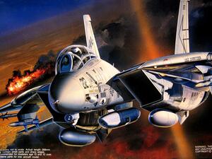 F-14 TOMCAT A PLUS "TARPS"  DESERT STORM. DOWNED BY IRAQI SA-2.  VF-103, 74, 24. RUBBER TYRES,   COM