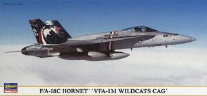 F-18 C HORNET VFA-131 WILDCATS CAG F-18 C HORNET VFA-131 WILDCATS CAG