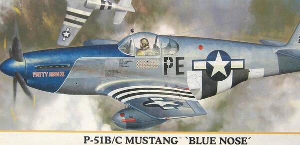 P-51 MUSTANG  B/C  BLUE NOSE - "PATTY ANN" &"LITTLE ANN" -
