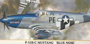 P-51 MUSTANG  B/C  BLUE NOSE - "PATTY ANN" &"LITTLE ANN" -