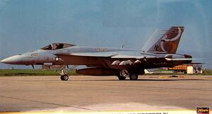 F/A-18 E " VFA-137  KESTRELS" 