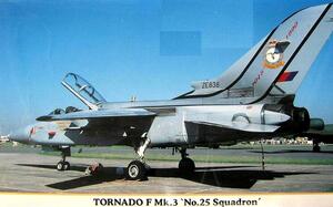 TORNADO F Mk.3 No.25 SQUADRON. TORNADO F Mk.3 No.25 SQUADRON.