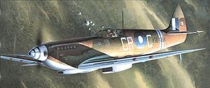 SUPERMARINE SPITFIRE Mk.VIII "ROYAL AUSTRALIAN AIR FORCE SHARK TEET" SUPERMARINE SPITFIRE Mk.VIII "ROYAL AUSTRALIAN AIR FORCE SHARK TEET"