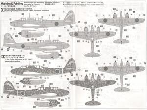 KAWASAKI Ki 45 KAI KOH TORYU NICK "13th FLIGHT REGIMENT"