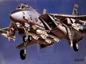 F-14 TOMCAT A PLUS CHECK MATES VF-211, 24, 143 . ENGRAVED PANEL LINES. RUBBER TYRES, COMPLETE WEA F-14 TOMCAT A PLUS CHECK MATES VF-211, 24, 143 . ENGRAVED PANEL LINES. RUBBER TYRES, COMPLETE WEA