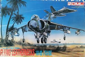 AV.8B HARRIER AND  F-18 A MARINES SUPER HORNET   "LEATHERNECKS"