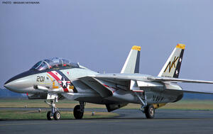 F-14 TOMCAT A \"EARLY VERSION\" . DECALS:  1.-  U.S. NAVY  VF-2  BOUNTY HUNTERS,BLOCK 85, NK206, 197