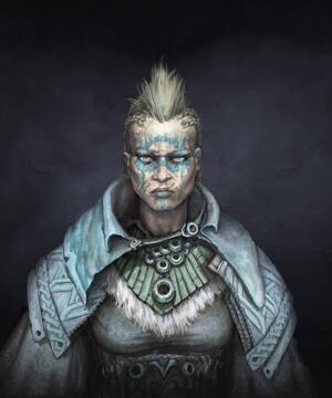 NORDS ONE PLAYER STARTER SET  - CONQUEST - PARABELLUM WAR GAMES. 