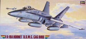 F/A-18 A HORNET "U.S.M.C. CAG BIRD". + MODEL TECHNOLOGIES PHOTO -ETCHED DETAIL PATS. ENGRAVED PANEL 