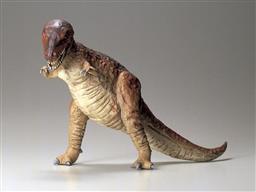 TYANNOSAURUS REX. BOX ART :https://d7z22c0gz59ng.cloudfront.net/japan_contents/img/usr/item/6/60203/