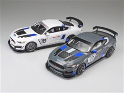 FOD MUSTANG GT4  2016 SEMA SHOW.