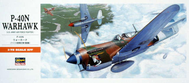 P-40N WAHAWK. U.S. ARMY AIR FORCE FIGHTER. NEGATIVE PANEL. HIGHLY DETAIL IN ALL SUFACES.