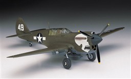 P-40N WAHAWK. U.S. ARMY AIR FORCE FIGHTER. NEGATIVE PANEL. HIGHLY DETAIL IN ALL SUFACES.