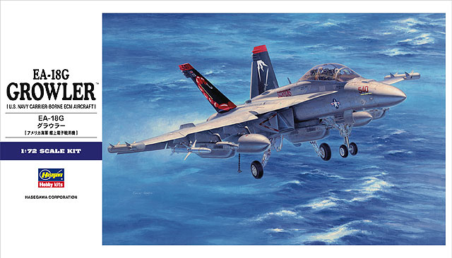 EA-18G GROWLER. U.S. NAVY CARRIER-BORNE ECM AIRCRAFT